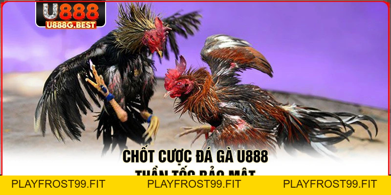 Đá Gà U888 - Chinh Phục Những Trận Đấu Kịch Tính Nhất - playfrost99.fit