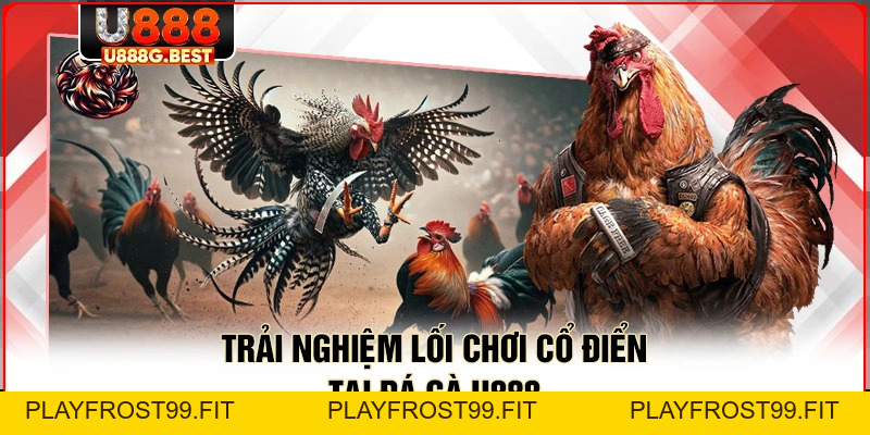 Đá Gà U888 - Chinh Phục Những Trận Đấu Kịch Tính Nhất - playfrost99.fit